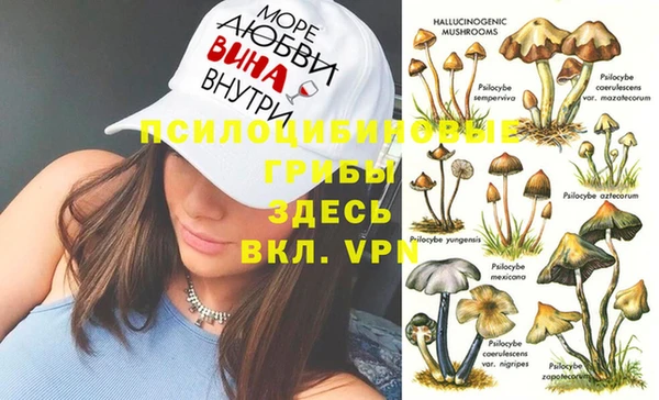 прущий лед Корсаков