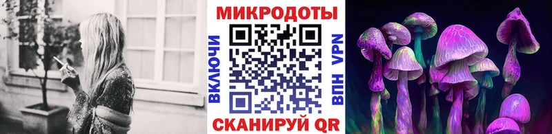Псилоцибиновые грибы GOLDEN TEACHER  даркнет сайт  Подольск 