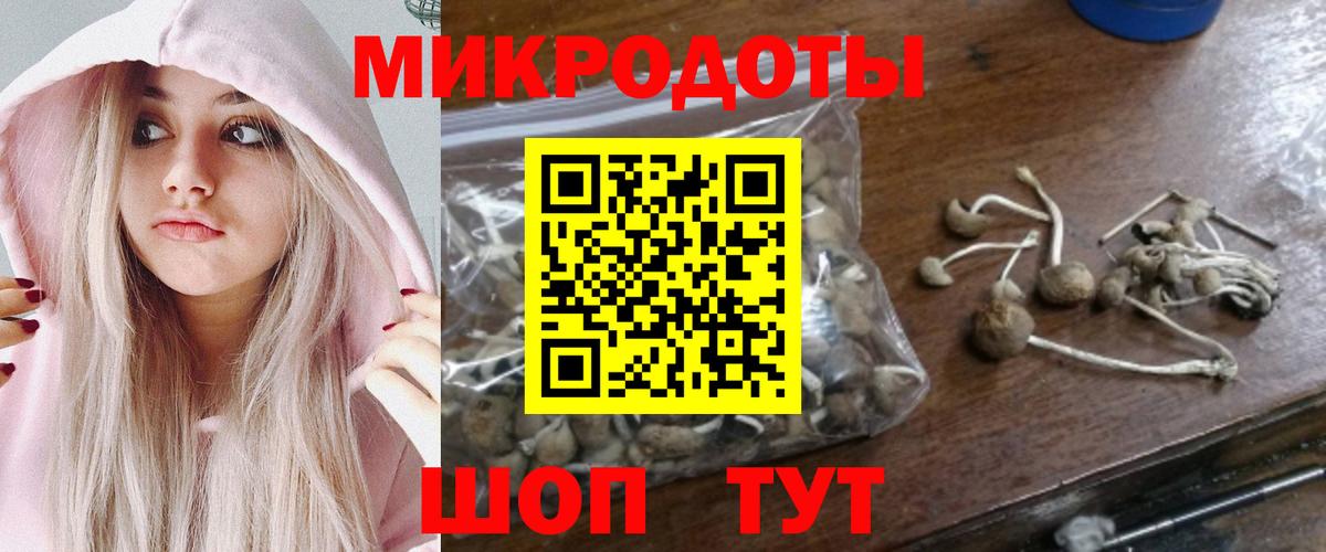 Подольск  Псилоцибиновые грибы Magic Shrooms  Вход с VPN 